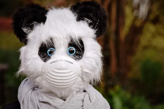 Casino Volcano Bingo Kundeservice